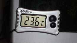 Foto mit digitales Thermometer
