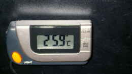 Foto mit Digitalthermometer 