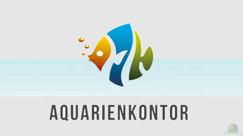 Aquarienkontor stellt sich im Video vor