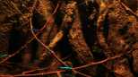 Neons in der Mitte des Beckens
