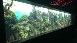 Urlaub auf Teneriffa Teil 1 ??? Das neuen ZEN Aquarium von Takashi Amano