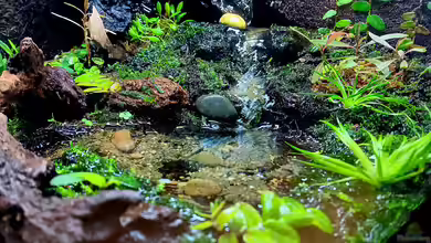 Hardangervidda von Junglist