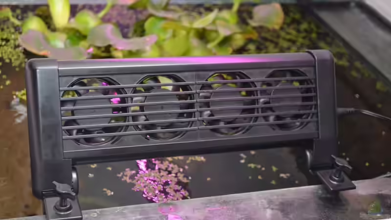 Einrichtungsbeispiele für Aquarien mit Kühlung