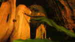 Nannocharax fasciatus im Aquarium halten (Einrichtungsbeispiele für Gestreifter Bodensalmler)