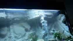 Aquarium Becken 10047