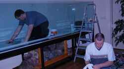 Technik im Aquarium Becken 10590