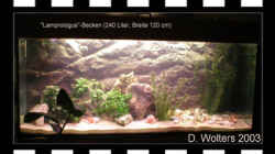 Aquarium Becken 108