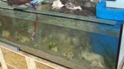 Aquarium Becken 11069