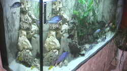 Aquarium Becken 11598