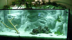 Aquarium Becken 11631