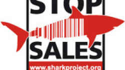 Stoppt den Verkauf von Haiprodukten - Helft mit!!!