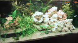 Aquarium Becken 143