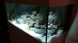 Aquarium Becken 16993