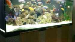 Aquarium Becken 22860 (nur noch als Beispiel)
