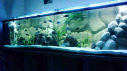 Aquarium Becken 2287