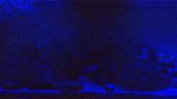 LED-Beleuchtung (Blau und Weiß) für die Nacht