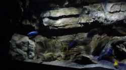 Aquarium Becken 27745