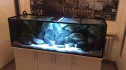 Aquarium Tank 2 NonMbuna