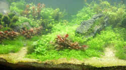 Aquarium schwäbische Alb