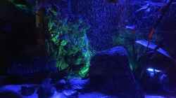 Aquarium Juwel Trigon 190 "MALAVI" CW