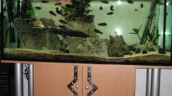 Aquarium Becken 335