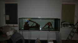Aquarium Becken 33581