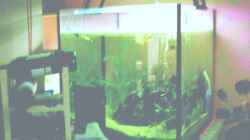 Aquarium Becken 3421
