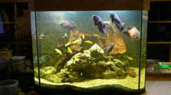 Dekoration im Aquarium Becken 4412