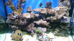 Aquarium Becken 5109