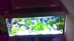 Aquarium Becken 8824