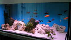 Aquarium Becken 959