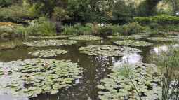 Entdecke die Schönheit von Monets Garten: Ein Paradies der Impressionisten