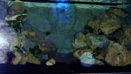 aquarium-von-robert-dietrich-becken-1760_Mondlicht bevor das Hauptlicht angeht, bei Tag