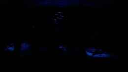 Foto mit update 20.12.06 Mondlicht mit LED