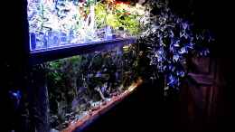 aquarium-von-snooze-new-underwater-world_Seitenansicht