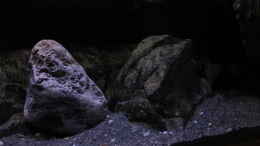 aquarium-von-sebastian-o--575-liter-malawibecken_Riverstone C mit kleinen Teil vom Modul H