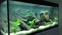 aquarium-von-benjamin-schmider-neustart-malawi_Becken mit alter Beleuchtung