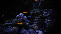 aquarium-von-pa-trick-rocky-cliffs_