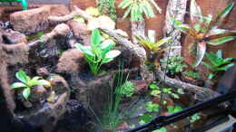 aquarium-von-junglist-welcome-to-the-jungle-aufgeloest_06.12.2013
