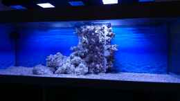 aquarium-von-wiege-newhomefordoc_Schachtverkleidung verklebt+ Korallengrund