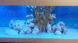 aquarium-von-wiege-newhomefordoc_mit Wasser und Salz befüllt+weiteres Totgestein für Riffau