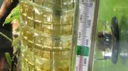 Foto mit JBL Bio CO2 Ausströmer und Thermometer