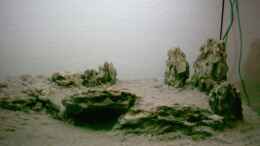 aquarium-von-micha-wb-becken-3345_Terassse mit Höhle aus Drachensteinen ( ohne Wasser)
