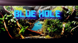 aquarium-von-bermuda-3eck-blue-hole_Hauptansicht 