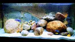aquarium-von-aquariumwelt-little-taiwan-reef_Gesamtansicht meines Malawibecken