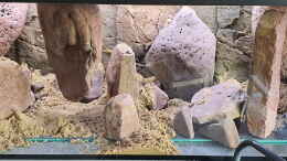 aquarium-von-ravaka-die-haengenden-felsen-von-mpulungu_Rohbau steht auf Styropor und Hartplastikplatten