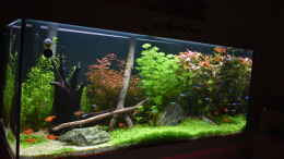 aquarium-von-peter-peter-juwel-rio-180_Juwel Aquarium RIO 180