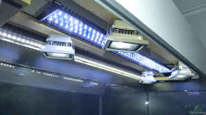 LED-Beleuchtung 4x10W LED-Fluter / 2x100cm LED-Lic