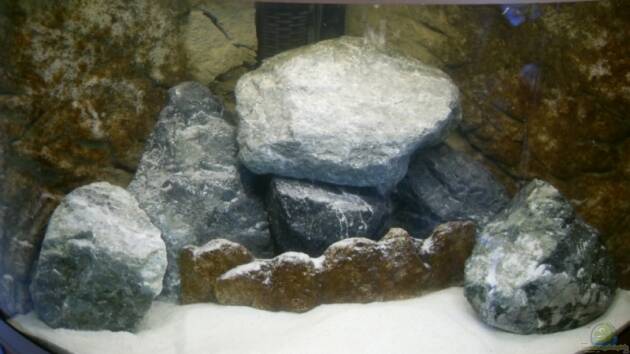 Zum Beispiel Parteeey Becken