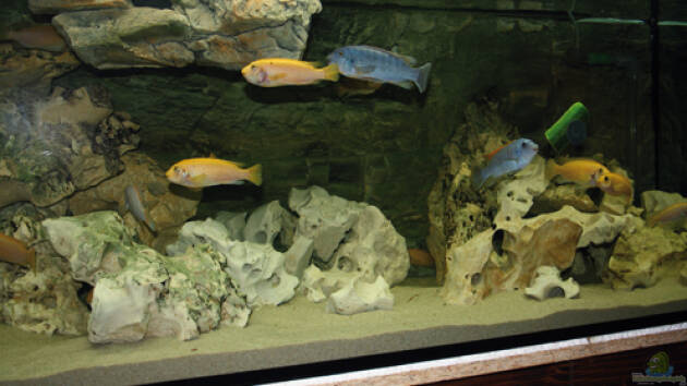 Zum Beispiel Oldschool mit Lochgestein